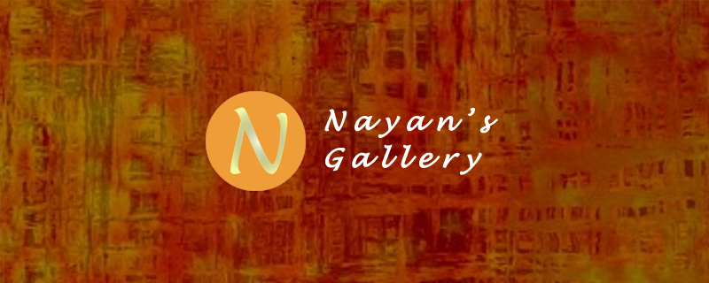 Nayan's Gallery 